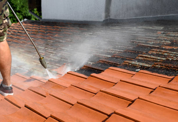 Best Roof Power Washing Services  in Neoga, IL