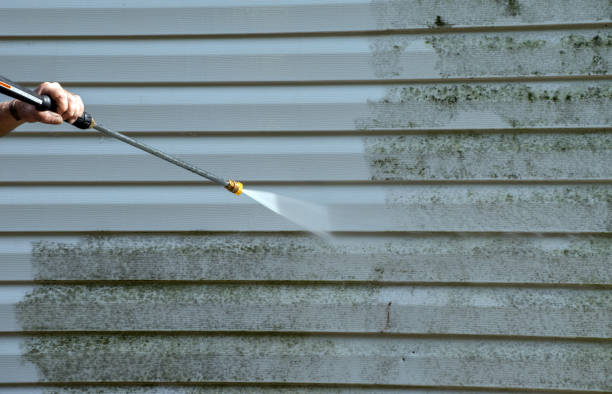 Best Roof Pressure Washing  in Neoga, IL