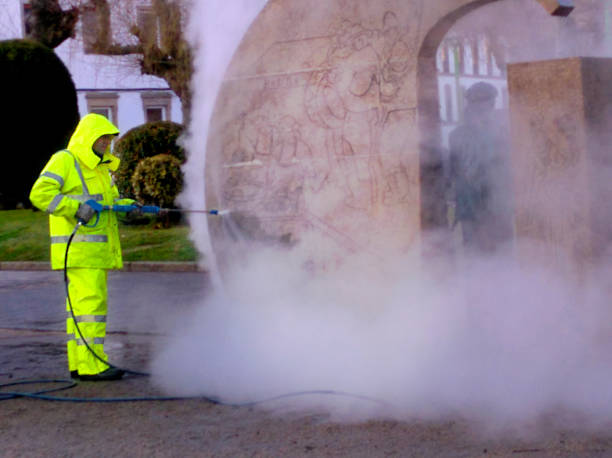 Best Power Washing Near Me  in Neoga, IL