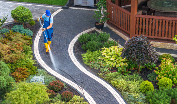 Best Exterior Home Cleaning  in Neoga, IL